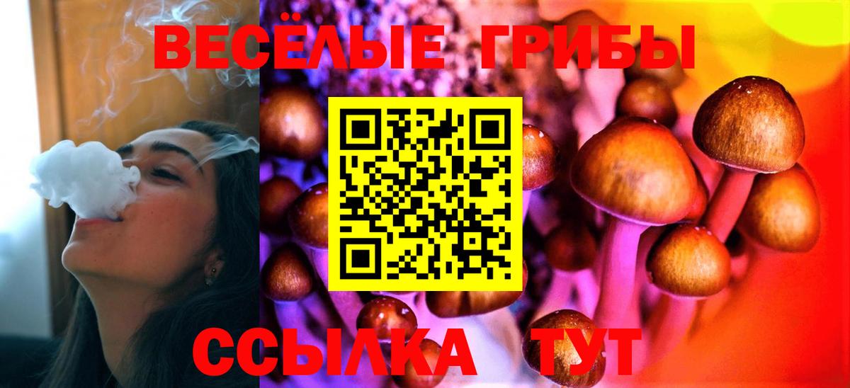 Джанкой  Псилоцибиновые грибы мухоморы  Вход с VPN 